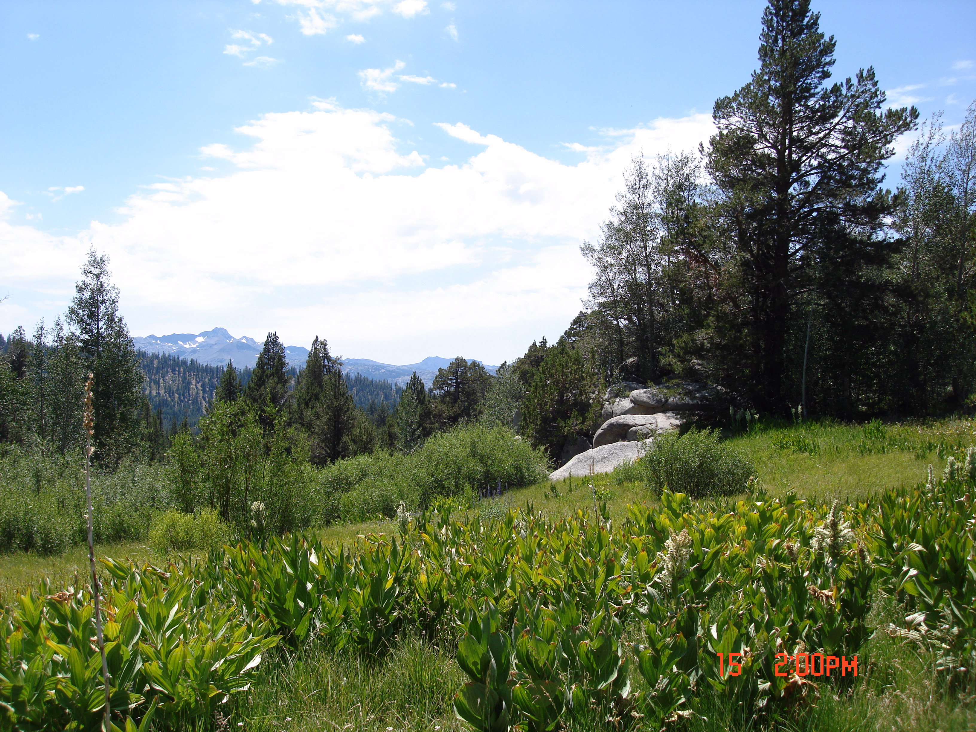 Northern California Voters Unite