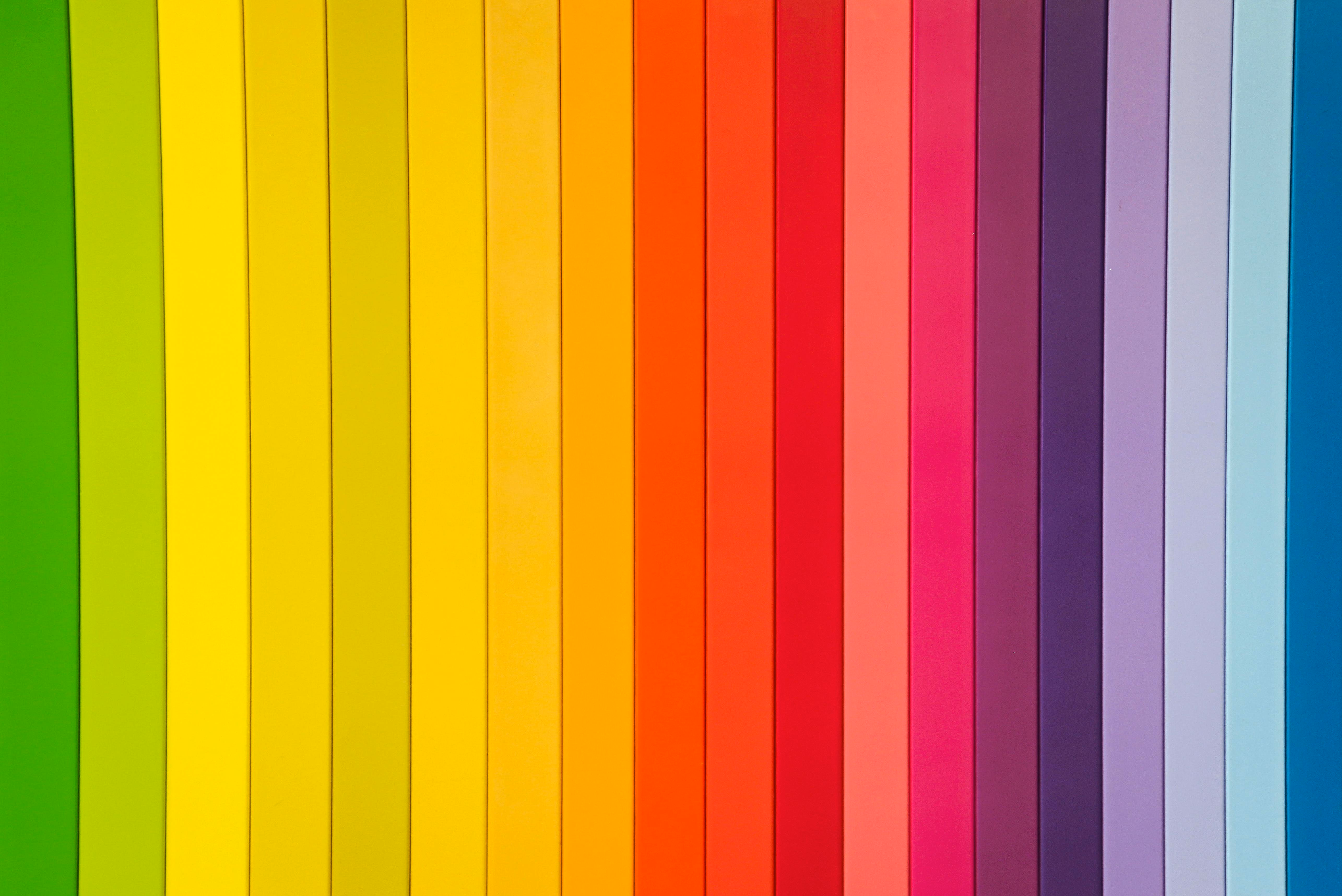 Queer Colorado Voters